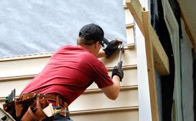 Best Custom Trim and Detailing for Siding  in Arden Hills, MN